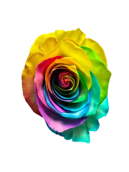 M. Rainbown